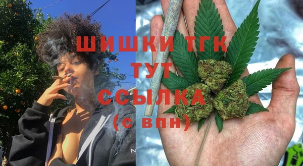 прущая мука Горняк